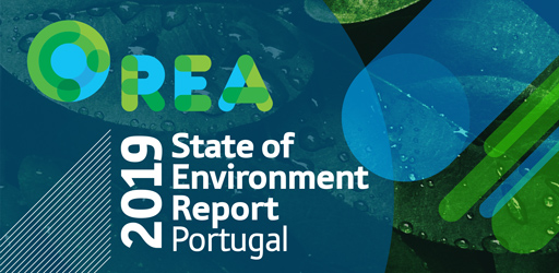 2019 Report for printing