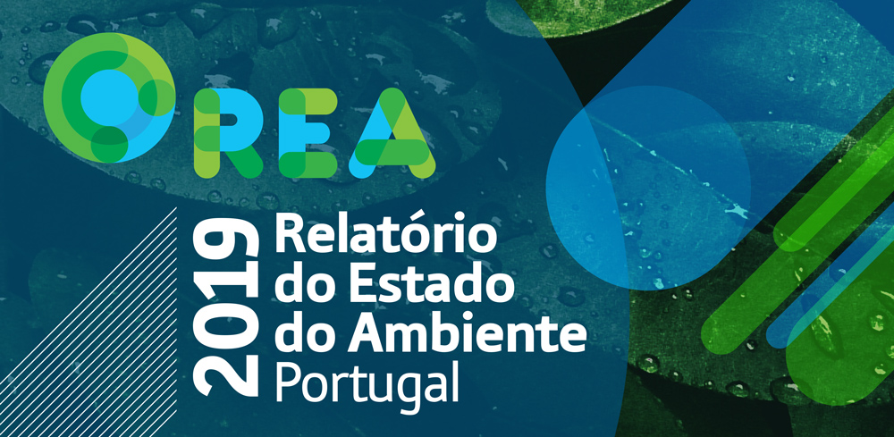 Relatório de 2019 para impressão