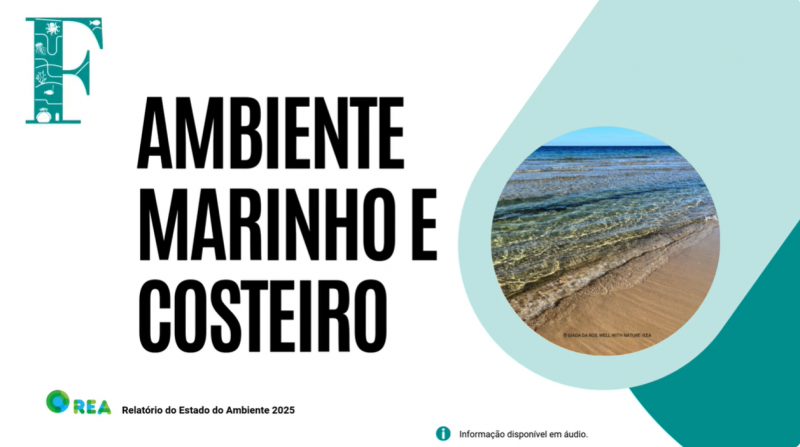 Ambiente marinho e costeiro
