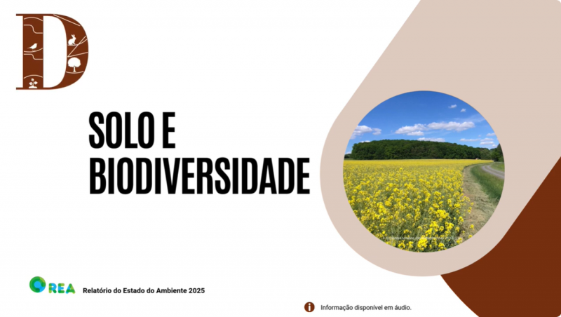 Solo e Biodiversidade