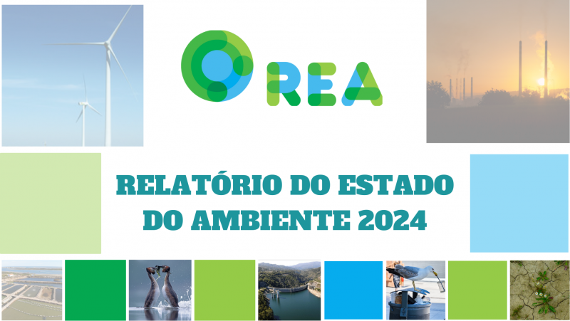 CAPA_REA_2024.png